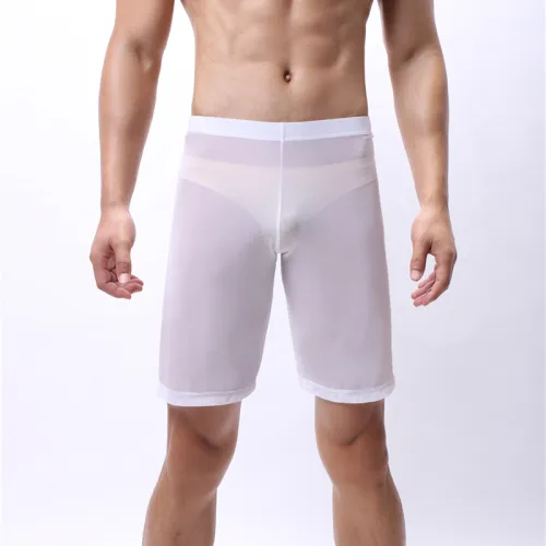 Sexy Mesh Summer Lingerie Ultra-thin Transparent Boxers PQA4-54D