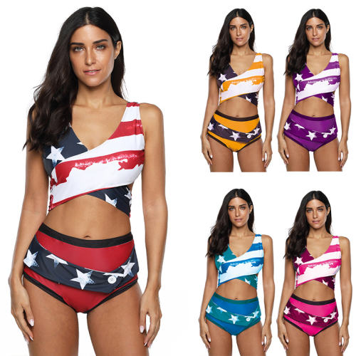 Fashion Plus Size Bathing Costumes Super Size Designer Swimwear PQ2010A