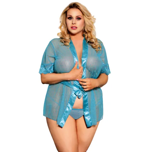 Blue Plus Size Mesh Sheer Lace Robe Sexy Nasty Lingerie For Women PQ80777B