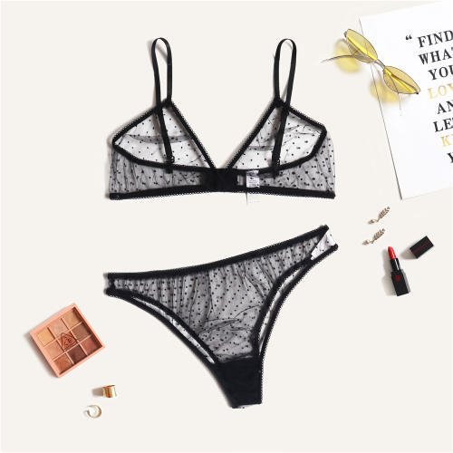 Women Mesh Bikini Lingerie Sexy Bra Set With Panties PQZT298B
