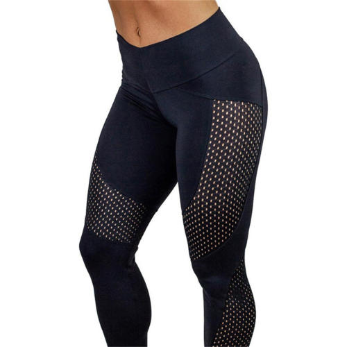 Mesh Yoga Pants Contrast Color Hip Lift Women High Waist Sexy Sports Leggings PQ6084A