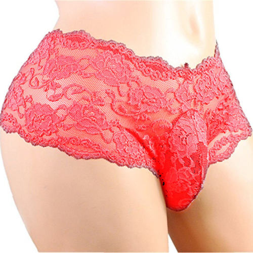 Lace Shorts Valentine Day Underwear For Men Sexy Mesh Panties PQN940C