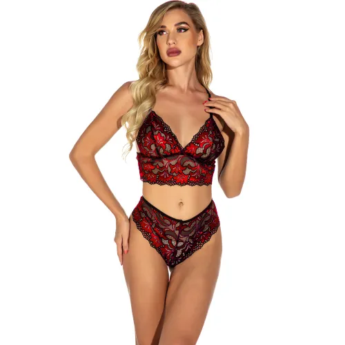 Women Vallentine Day Sheer Lace Underwear Sexy Bra Set with Panties PQ201701C