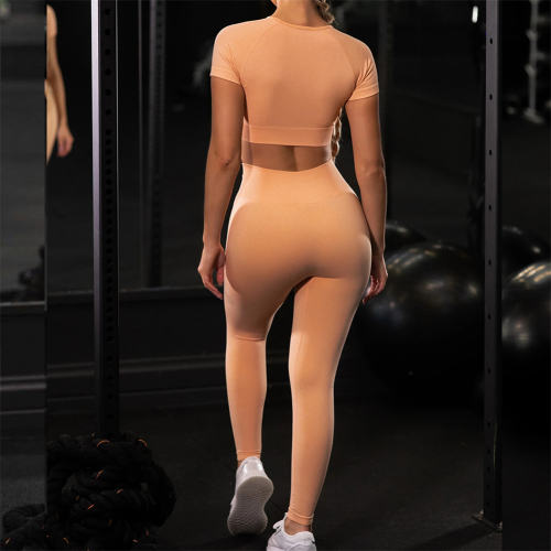 Orange Sexy Fitness Pants Ladies Jogging Clothing Seamless Ourdoor Sportwear PQYJ036A