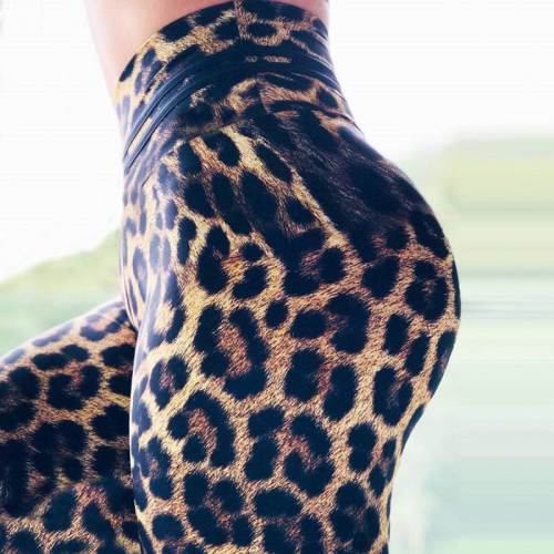 Leopard Print Yoga Outfits Workout High Waist Leggings Women Activewear PQ498C