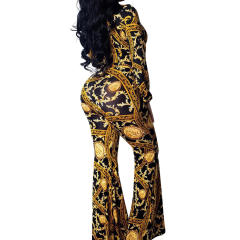 Sexy Ethnic Print Jumpsuit for Women Deep V-neck Night Clubwear PQ9928