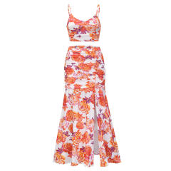 Floral Print Summer Beach Club Dress Women Two Pieces Dresses PQLQ258C
