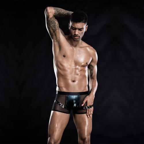 Sexy Underwear For Men Big Mesh U-convex Boxer Briefs Shorts PQ7265