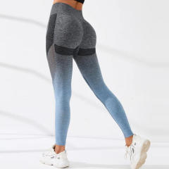 Gradient Seamless Yoga Leggings Women Bubble Butt Workout Sport Pants PQ1202