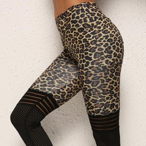 Leopard Print Yoga Pant Sexy Female Mesh Patchwork Yoga Outfit PQ9229