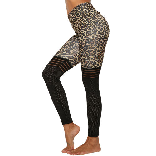 Leopard Print Yoga Pant Sexy Female Mesh Patchwork Yoga Outfit PQ9229