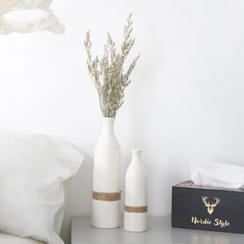 Ins Ceramic Vase Matte Home Ornaments Handmade Decoration PQ-TNTCSS