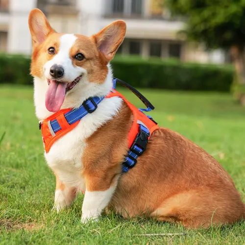Small-Sized Adjustable Harnesses Vest Dog Leash Dog Walking Leashes PQ524