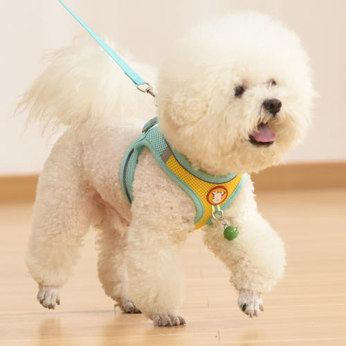 Dog Leash Small Dog Vest Teddy Bichon Breathable Chest Harness PQ888