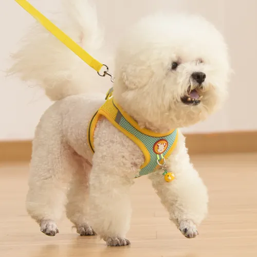 Dog Leash Small Dog Vest Teddy Bichon Breathable Chest Harness PQ888
