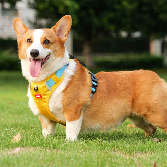 Small-Sized Adjustable Harnesses Vest Dog Leash Dog Walking Leashes PQ524