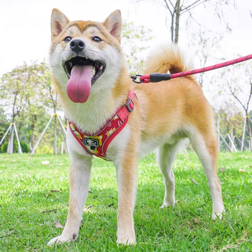 Medium-Large Dog Vest Traction Rope Dog Leash Chest Harness PQ-DZ001