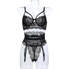 Wholesale Female Bra Sets Sexy Lace Lingerie For Women PQ3616