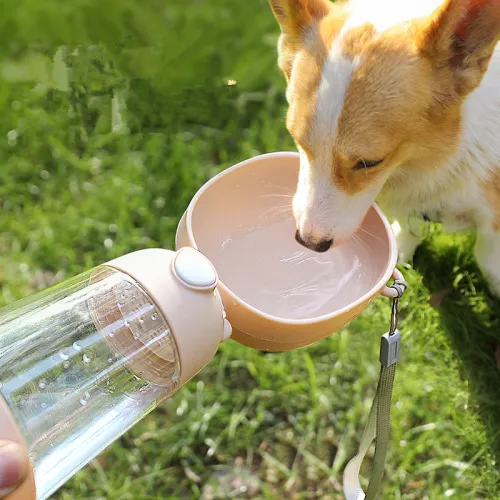 Portable Water Bottle for Dogs Going out, Portable Water Dispenser for Dogs PQ3806