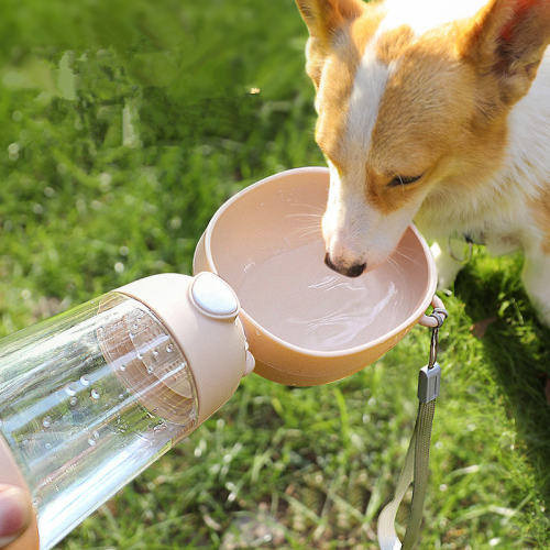Portable Water Bottle for Dogs Going out, Portable Water Dispenser for Dogs PQ3806