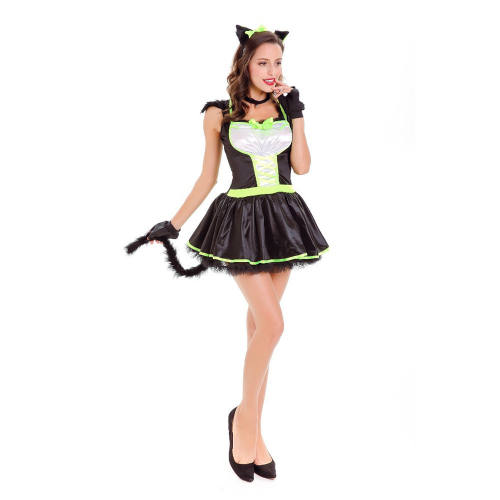 Cat Woman Fancy Dress Sexy Catwoman Costume Night Club Wear PQ8828