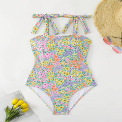 Floral Print One-Shoulder Swimsuit, Multicolored Spaghetti Strap Swimwear for Women PQ-H7265