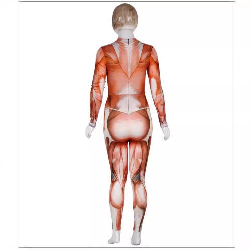Realistic Human Body Structure Jumpsuits Halloween Costumes Funny Costumes PQB142-009