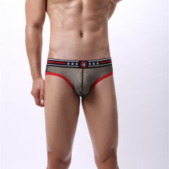 Hole Gay Underpants Men Fetish Briefs Sissy Mesh Shorts PQA4-48A