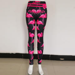 Flamingo Print Jogging Clothing High Waist Athletic Wear PQHY441