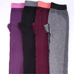 Sports Yoga Capris Female Bodybuilding Fitness Pants Quick-drying Trousers PQYS1002A