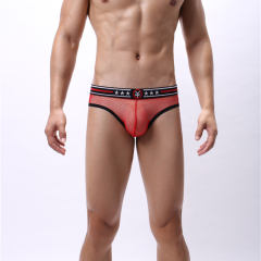 Summer Sexy Underwear Men Fetish Briefs Sissy Mesh Shorts PQA4-48C