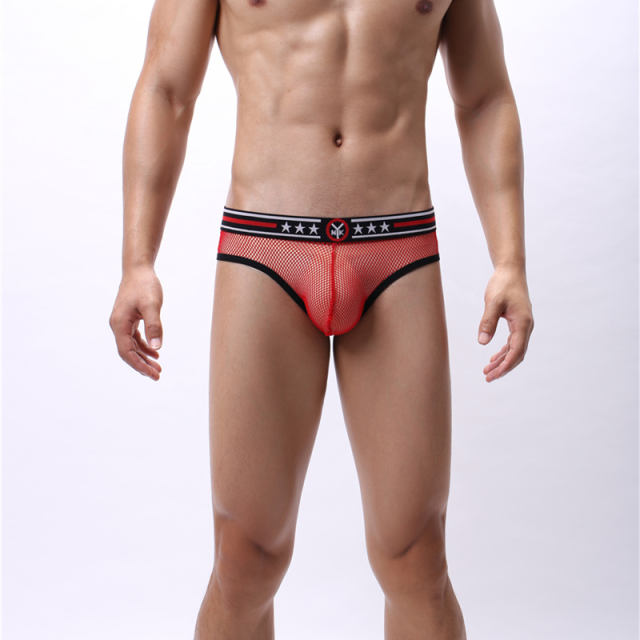 Summer Sexy Underwear Men Fetish Briefs Sissy Mesh Shorts PQA4-48C