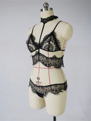 Eyelash Lace Lingerie Erotic Sexy Wire Free Underwear PQBS256