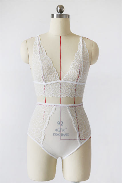 Fetish Underwear with Panties Sheer Erotic Lingerie Set PQBS273B