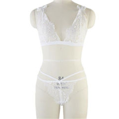 White Sexy Sheer Eyelace Bra Sets Erotic Lingerie for Women PQBS284