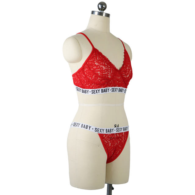 Sexy Sheer Lace Lingerie Erotic Floral Bra Sets For Women PQBS288