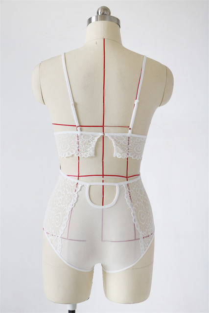 Fetish Underwear with Panties Sheer Erotic Lingerie Set PQBS273B