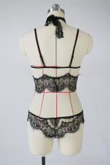 Eyelash Lace Lingerie Erotic Sexy Wire Free Underwear PQBS256