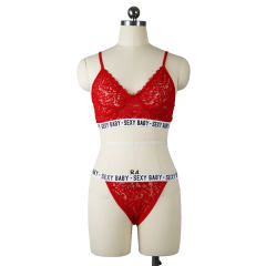 Sexy Sheer Lace Lingerie Erotic Floral Bra Sets For Women PQBS288