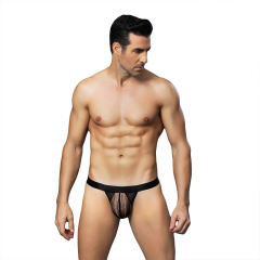 Men's Underwear Thin Section Sexy Transparent Breathable Low-rise Briefs PQ6630