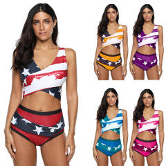 Fashion Plus Size Bathing Costumes Super Size Designer Swimwear PQ2010A