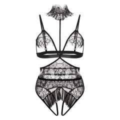 Black Eyelash Lace Bra with Panties Sexy Women Underwear PQZT272