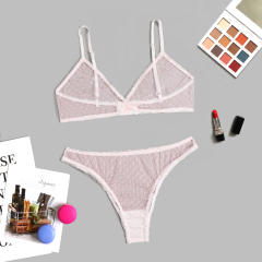 Women Mesh Bikini Lingerie Sexy Bra Set With Panties PQZT298B