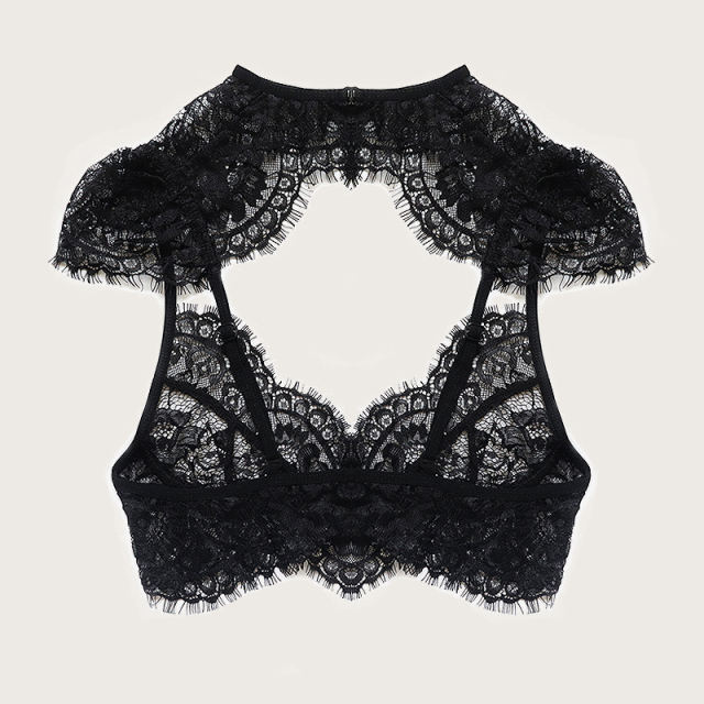 Women Erotic Lingerie Sets Sexy Eyelash Lace Bra With Shorts PQZT266B