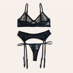 Black Mesh Bra With Panties for Women Sexy Lingerie Set PQBS009
