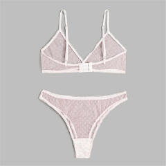 Women Mesh Bikini Lingerie Sexy Bra Set With Panties PQZT298B