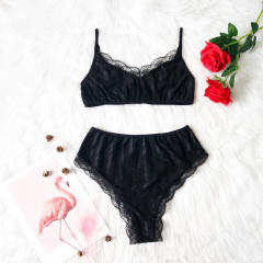 Sexy Sheer Mesh Lingerie Set For Women Bra with Panties PQBS601