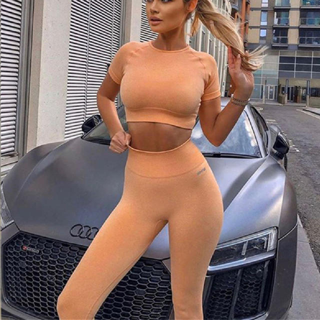 Purple Sexy Fitness Pants Ladies Jogging Clothing Seamless Ourdoor Sportwear PQYJ036B