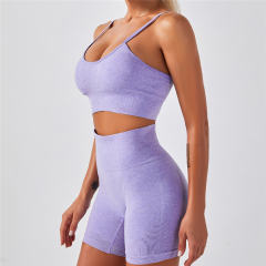 Purple Seamless Ourdoor Sportwear Sport Apparel Sexy Fitness Shorts PQYJ032C