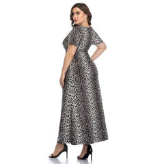 Summer Maxi Dresses For Women Boa Printed Boho Dress PQLQ096A